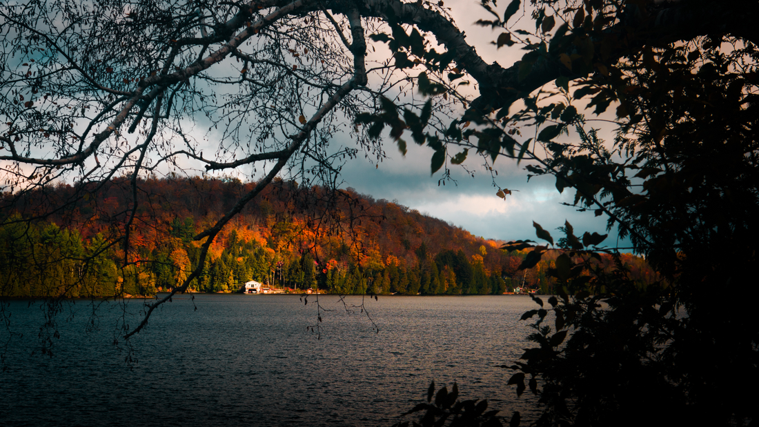 7 Essential Tips for Closing Your Cottage and Dock