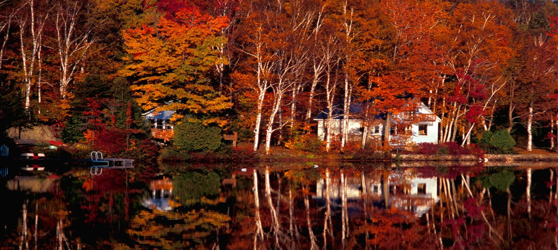 5 Pro Tips for Winter Dock Removal and Storage