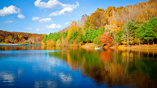 5 Tips For Enjoying Your Cottage In The Fall